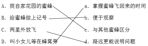 小学三年级上册语文期末考试卷（最新13套）