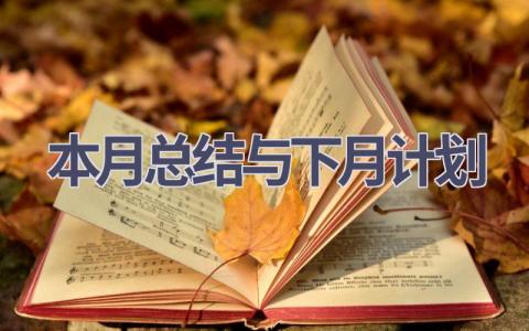 本月总结与下月计划(17篇精选范文）