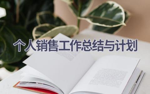 个人销售工作总结与计划(16篇精选范文）