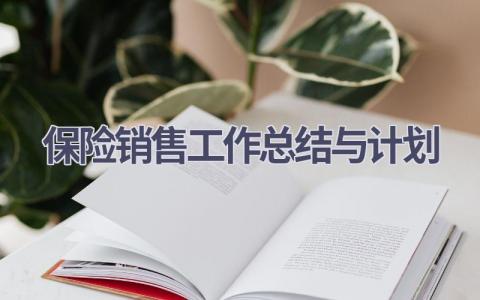 保险销售工作总结与计划(21篇精选范文）