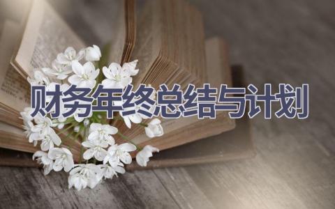 财务年终总结与计划(15篇精选范文）