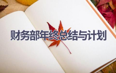 财务部年终总结与计划(21篇精选范文）