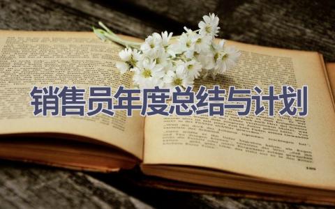 销售员年度总结与计划(16篇精选范文）