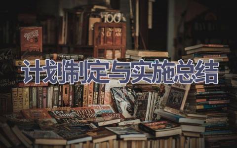 计划制定与实施总结(15篇精选范文）