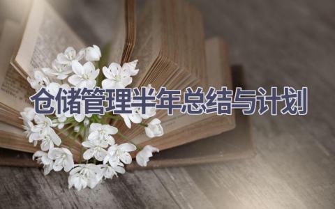 仓储管理半年总结与计划(12篇精选范文）