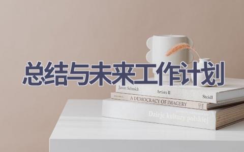 总结与未来工作计划(15篇精选范文）