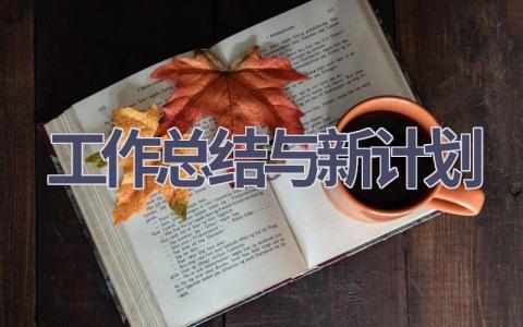 工作总结与新计划(16篇精选范文）