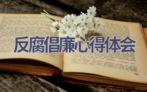 反腐倡廉心得体会(17篇精选范文）