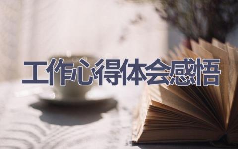 工作心得体会感悟(14篇精选范文）