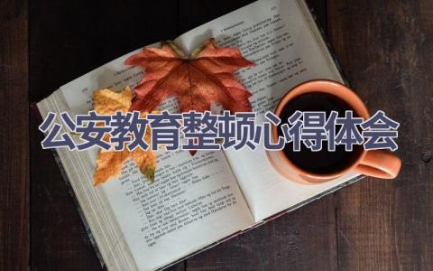 公安教育整顿心得体会(19篇精选范文）