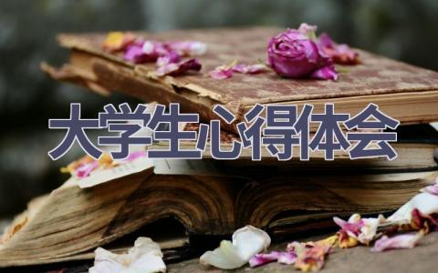 大学生心得体会(17篇精选范文）