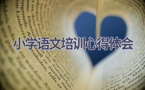 小学语文培训心得体会(16篇精选范文）