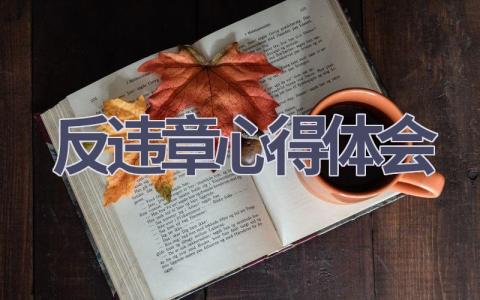 反违章心得体会(18篇精选范文）