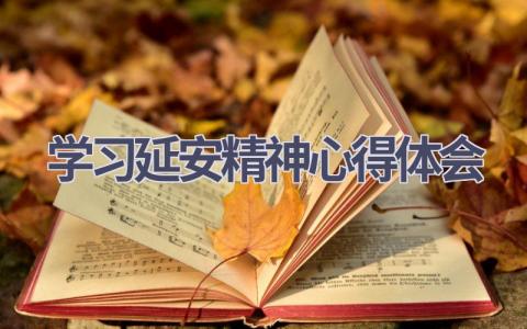 学习延安精神心得体会(14篇精选范文）