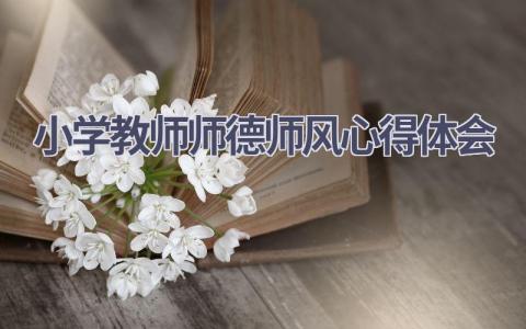 小学教师师德师风心得体会(21篇精选范文）